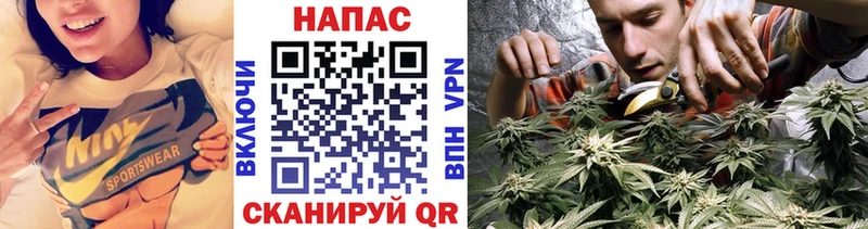 Магазин наркотиков Советская Гавань Конопля МЕТАДОН ГАШИШ Меф APVP