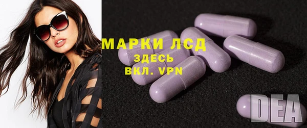 индика Аркадак