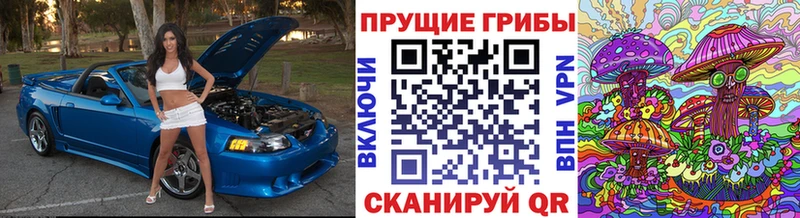 Галлюциногенные грибы Magic Shrooms  OMG ССЫЛКА  Советская Гавань 